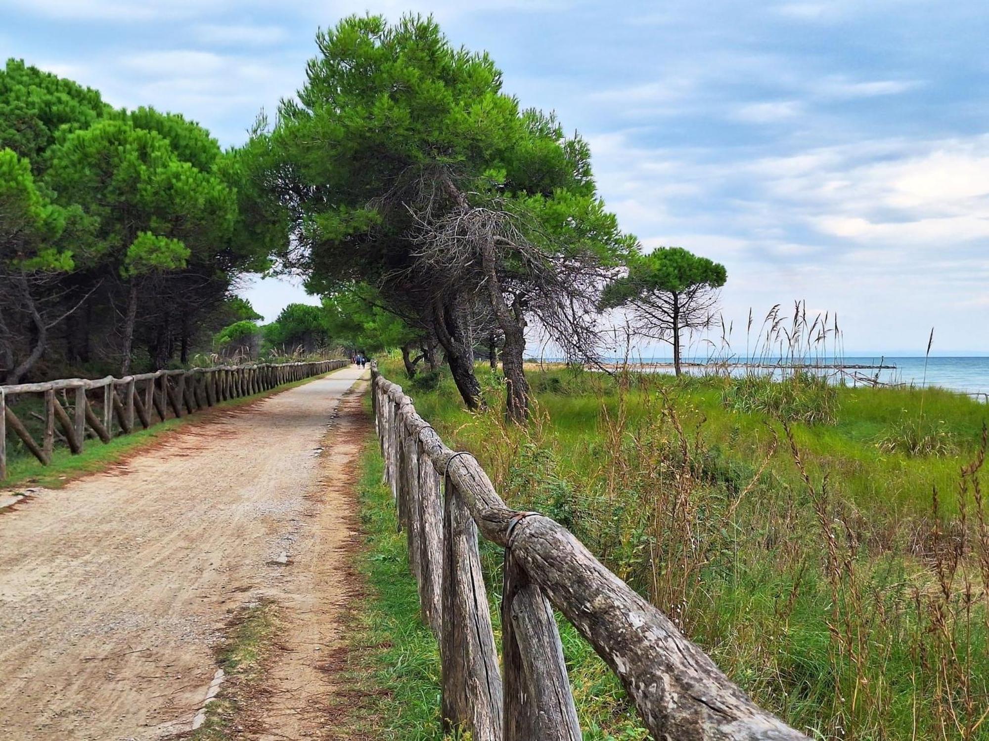 A Beautiful In A Quiet Area With Pool Appartamento