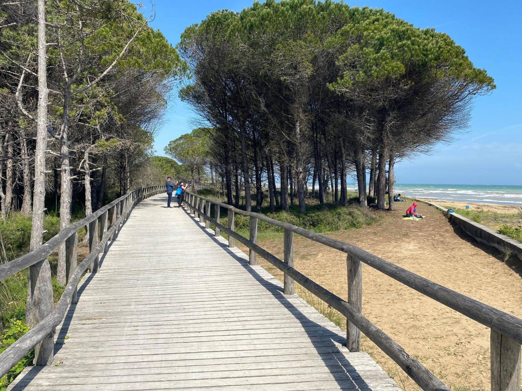 A Beautiful In A Quiet Area With Pool Appartamento Bibione